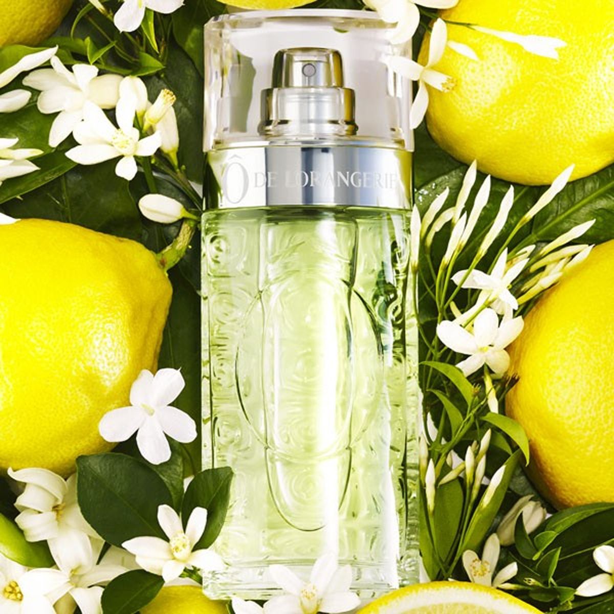 Lancome Lancome Eau de Toilette Spray ô de Lancome 125ml Damen