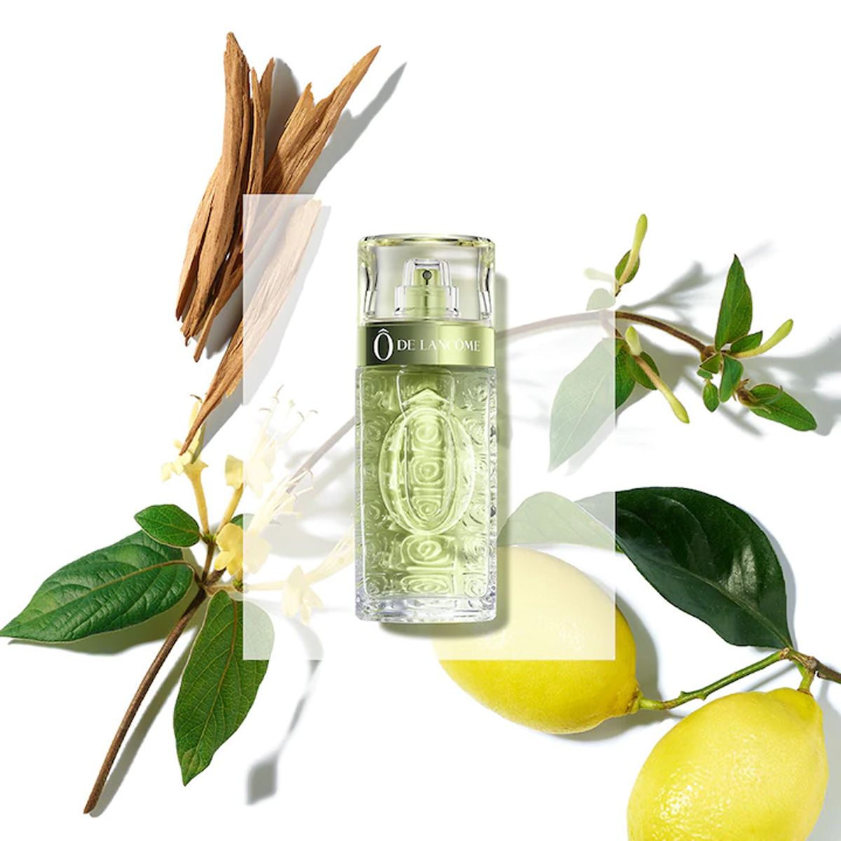 Lancome Lancome Eau de Toilette Spray ô de Lancome 125ml Damen