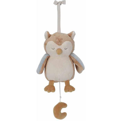 Gemütliche Musikbox Owl Forest Freunde Grs