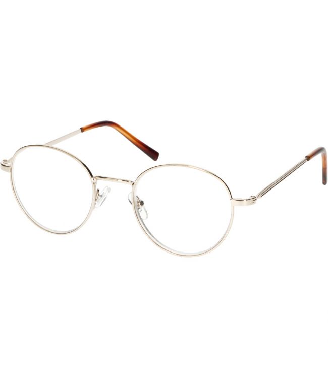 Spektrumspektrum -Lesebrille um Silver Classic 1.50