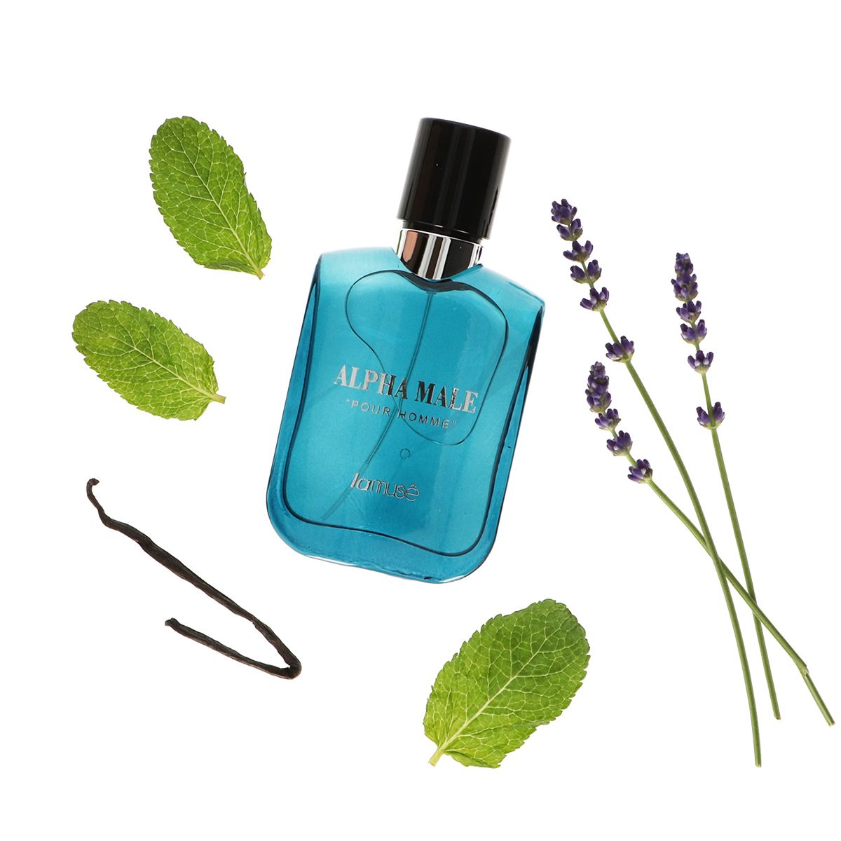 Lamusê Lamuse Eau de Toilette Spray Männer Alpha männlich pour homme 100ml