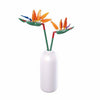 Sluban strelitzia reginae aiton (m38-b1101-01)