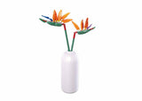 Sluban strelitzia reginae aiton (m38-b1101-01) - afbeelding 1