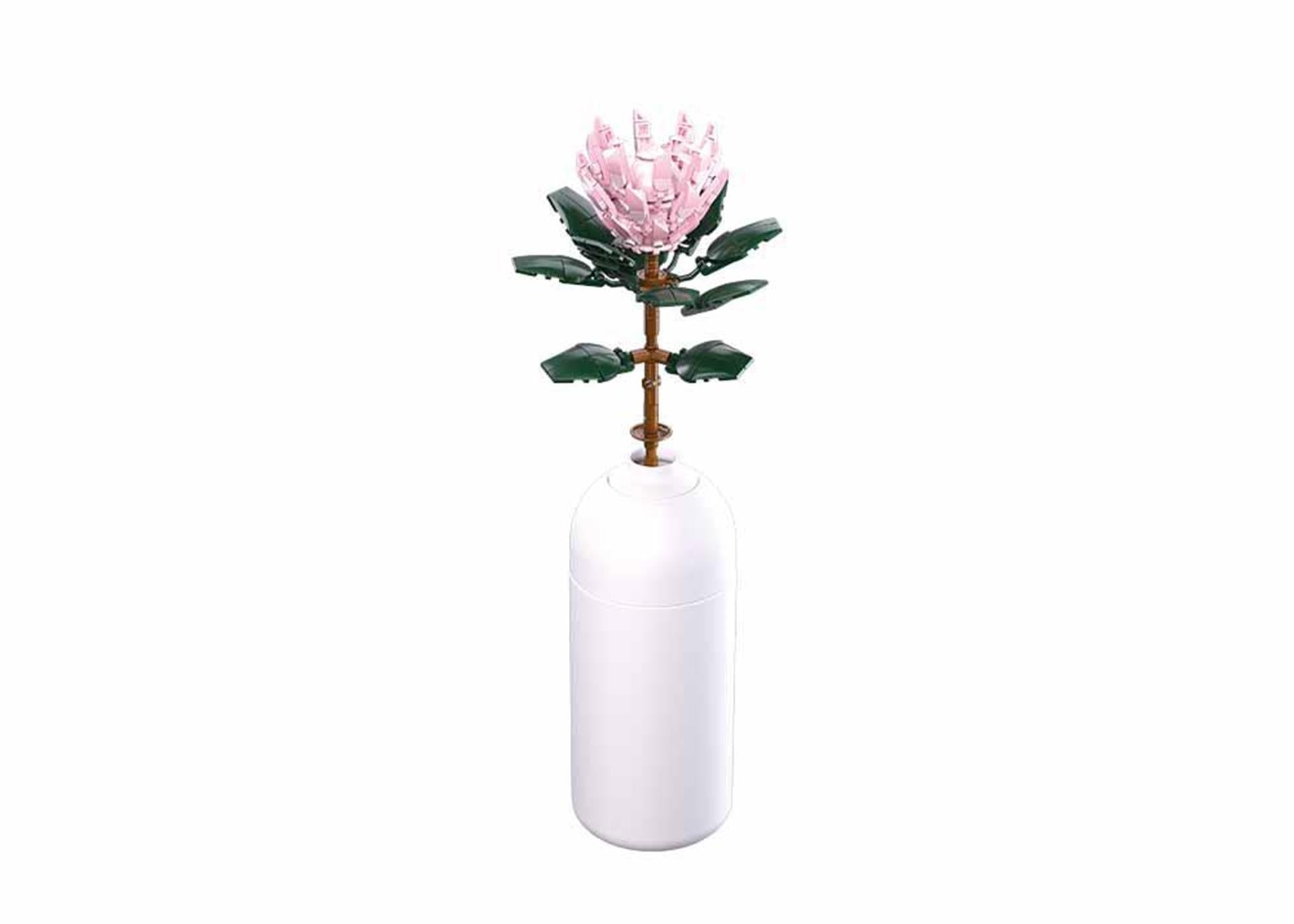 Sluban-Riesenprotea (m38-b1101-03)
