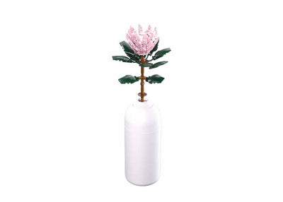 Sluban-Riesenprotea (m38-b1101-03)