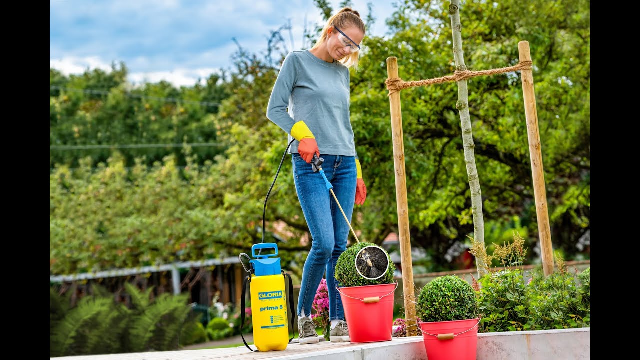 Gloria Messing-Sprühstab inklusive Specroid-Sprühkappe, inklusive Buxus 270