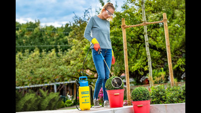 Gloria Messing-Sprühstab inklusive Specroid-Sprühkappe, inklusive Buxus 270