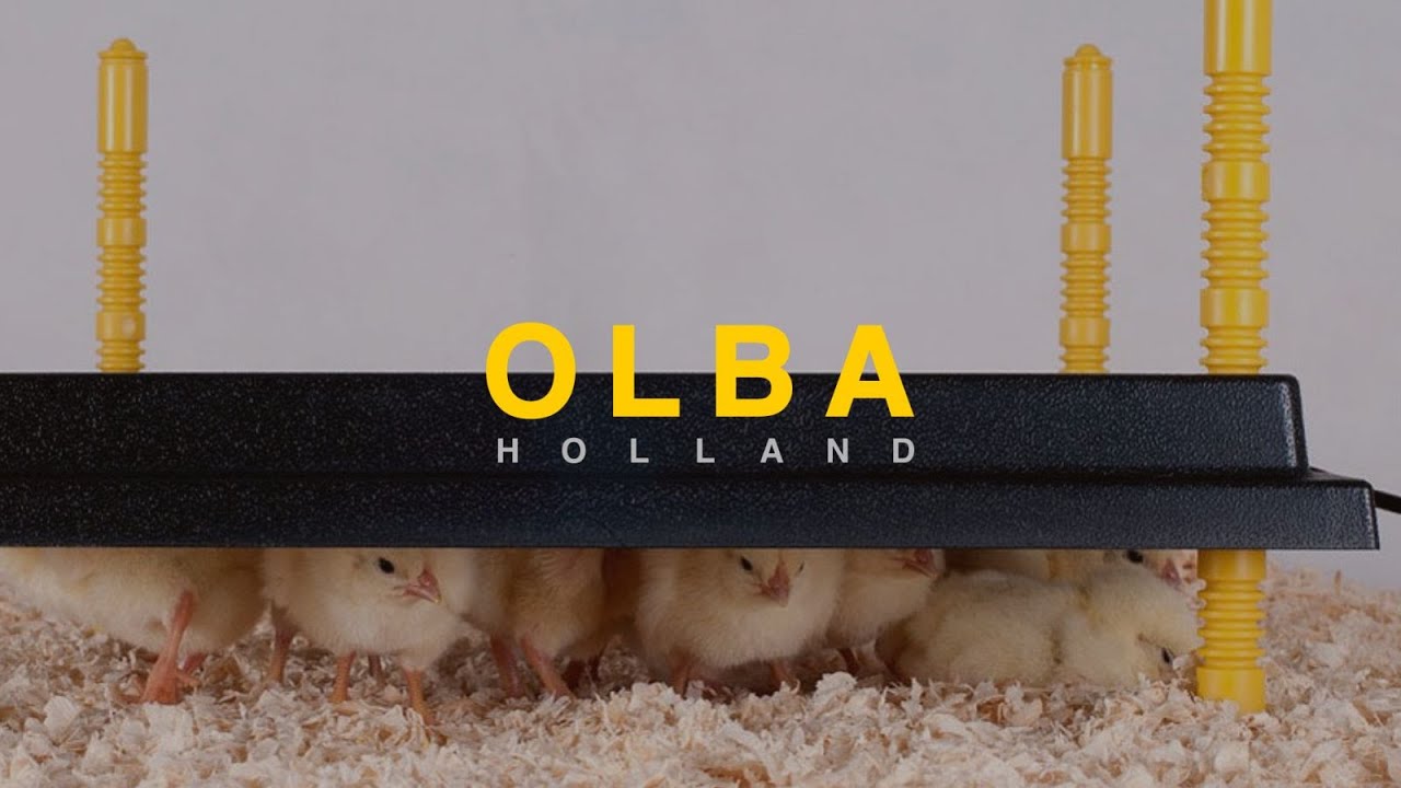 Olba Products Heizplatte für Küken 40x40cm 42Watt