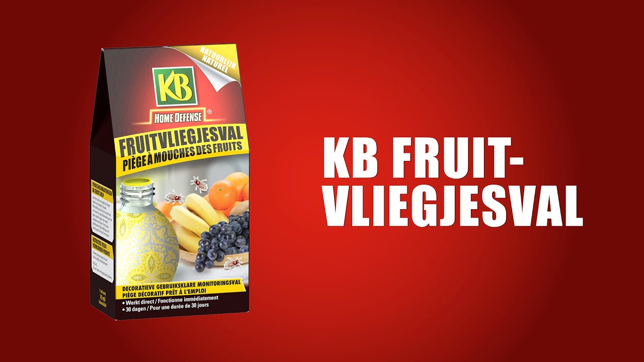 Kb-Kontrolle kb-Fruchtfliegenfalle 1