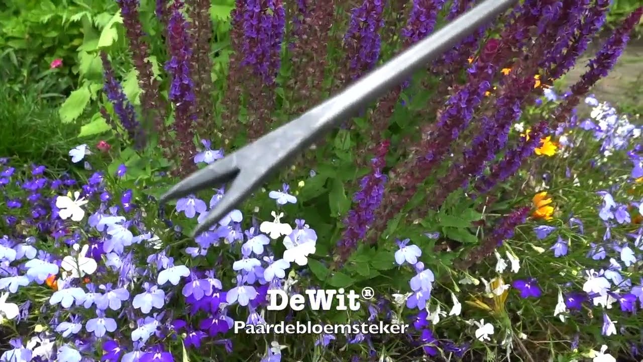 Der weiße Bio -Löwenzahnstopfen