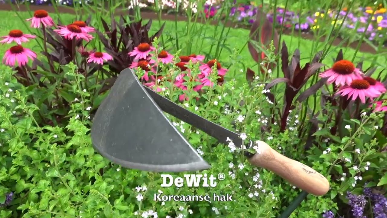 Der weiße koreanische Handabsatz am rechten Eschenstiel 140 mm dewhite