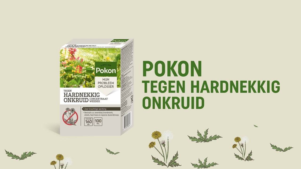 Pokon gegen hartnäckiges Unkraut, Konzentrat 100 ml, Weedex