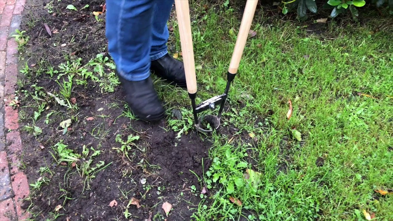 Der weiße Blumenzwiebelpflanzer mit 2 Eschenstämmen 75 cm entweißt