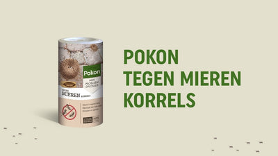 Pokon-Ameisenpellets 400gr