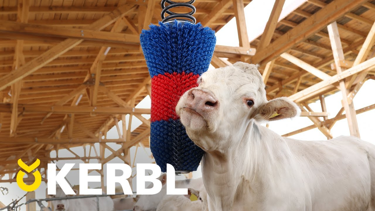 Happycow Rinderbürste Flexiswing