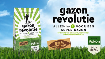 Pokon Rasenrevolution 4 kg für 80 m2