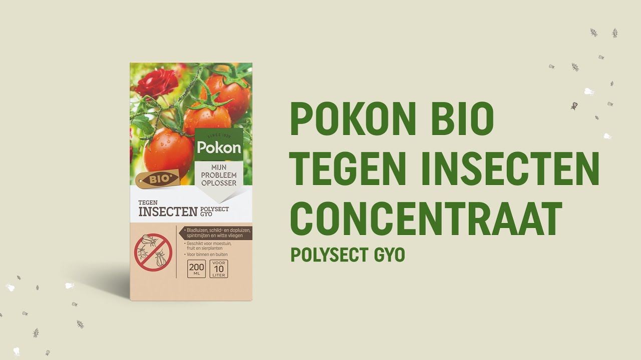 Pokon Bio-Insektenschutzkonzentrat 225 ml Polysect Gyo