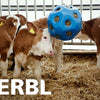 Blauer Futterball