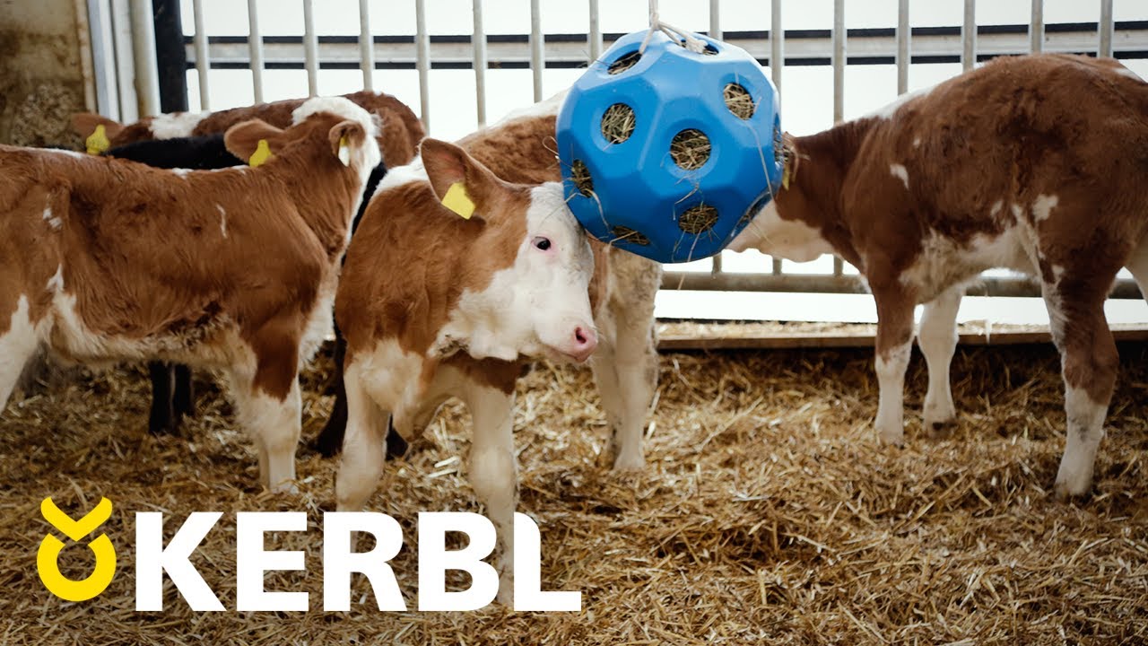 Blauer Futterball