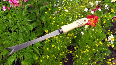 Der weiße Löwenzahnstopfen Eschenstiel 140 mm dewhite