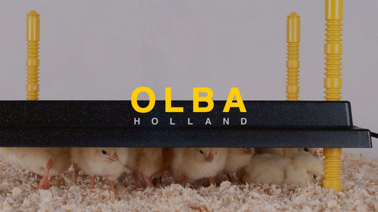 Olba Products Heizplatte für Küken 40x60cm 62Watt