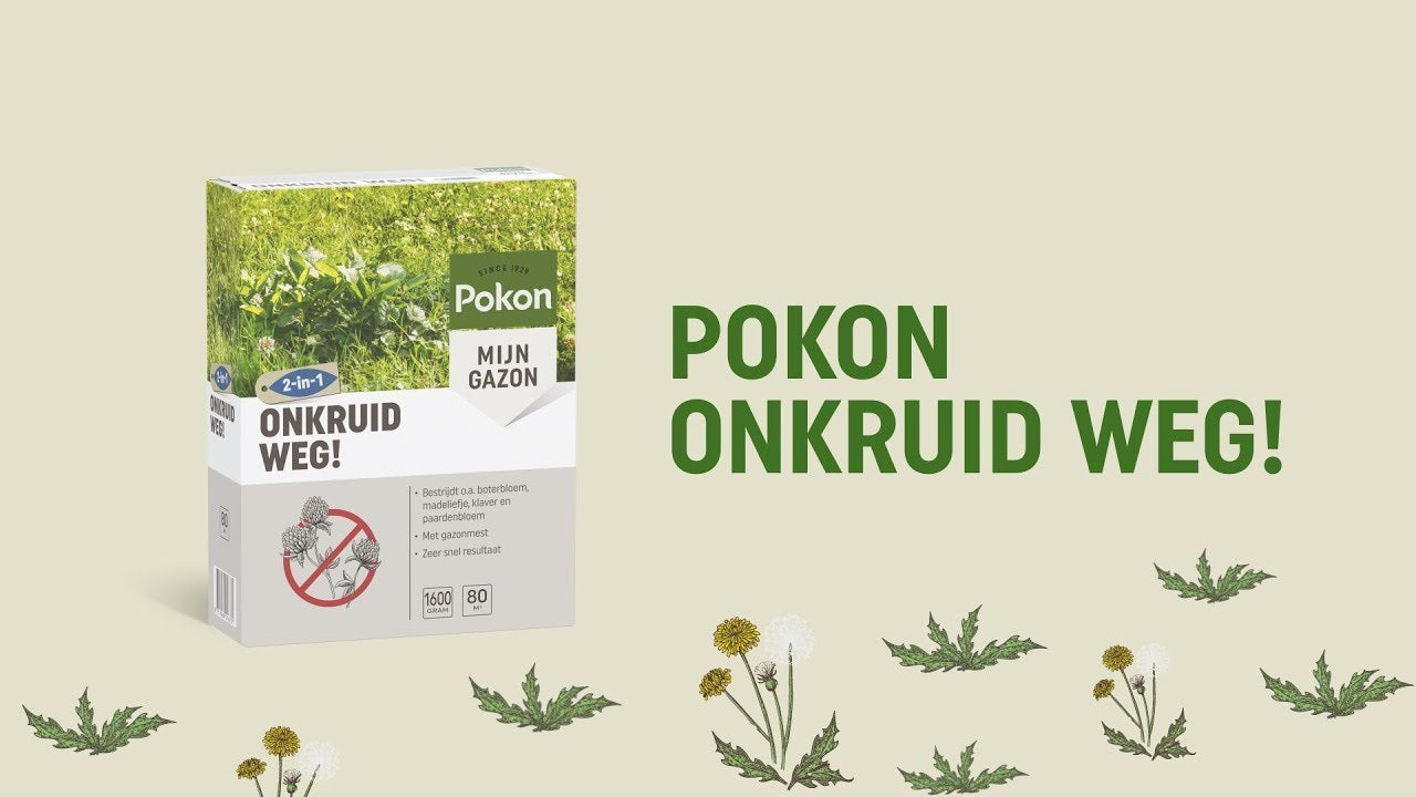 Pokon Unkraut weg 120 m2 2400 gr