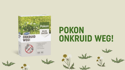 Pokon Unkraut weg 120 m2 2400 gr