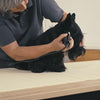 Moser Hair Clipper Rex 1230 Schwarz