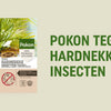 Pokon Bio gegen hartnäckige Insekten, Konzentrat 175 ml, Poly