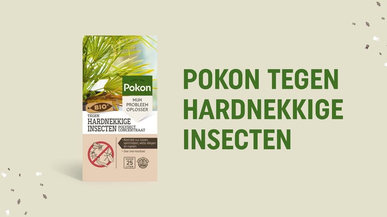 Pokon Bio gegen hartnäckige Insekten, Konzentrat 175 ml, Poly