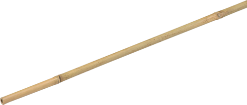 Meister Pflanzenstab Bambus 180cm - wu9966460