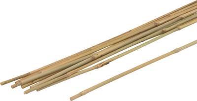 Meister Pflanzenstab Bambus 75cm (10 Stück) - wu9966390