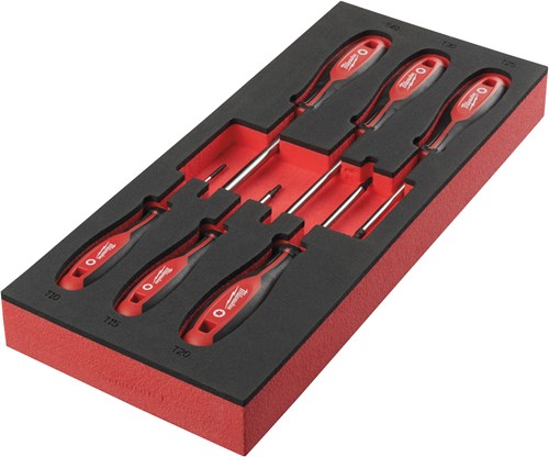 Milwaukee Zubehör Schaumstoff-Inlay-Schraubendreher-Set 2 (6 Stück) – 4932492392