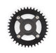 Miranda Kettenrad 38T Chainflow m Spider Versatz 47mm Bosch3