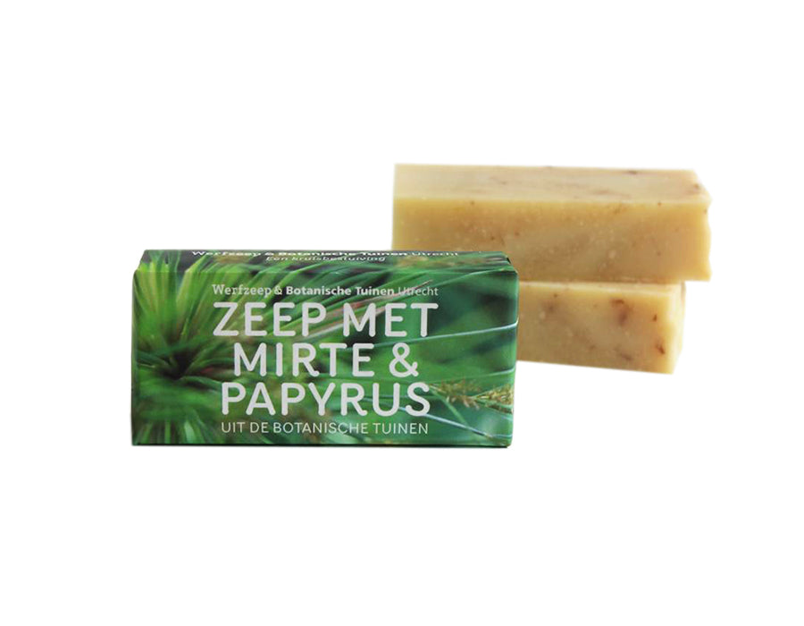 Werfzee Werf Seifenbotanische Gärten Mirte Papyrus