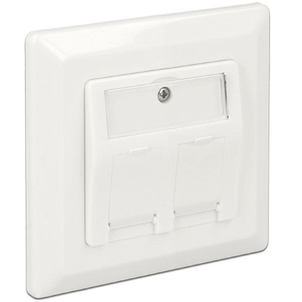 Delock Keystone Wall Outlet 2 Port