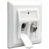 Delock Keystone Wall Outlet 2 Port