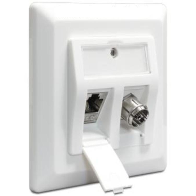 Delock Keystone Wall Outlet 2 Port