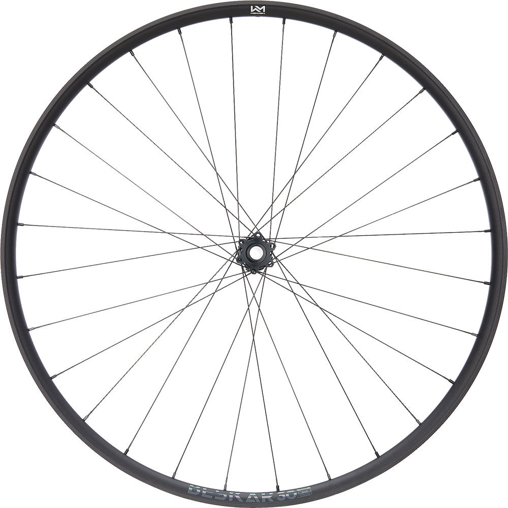 Newmen Beskar 30 Basis 29 6-Loch 15x110 Fade-Vorderrad