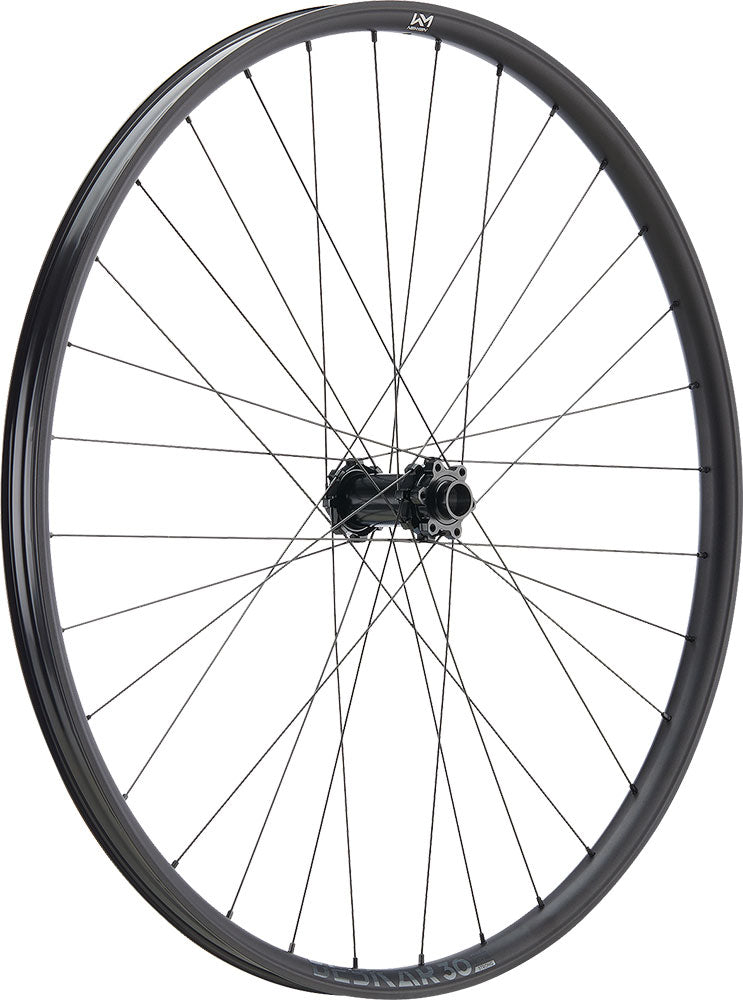 Newmen Beskar 30 Strong 29 6-Loch 15 20x110 Fade Vorderrad