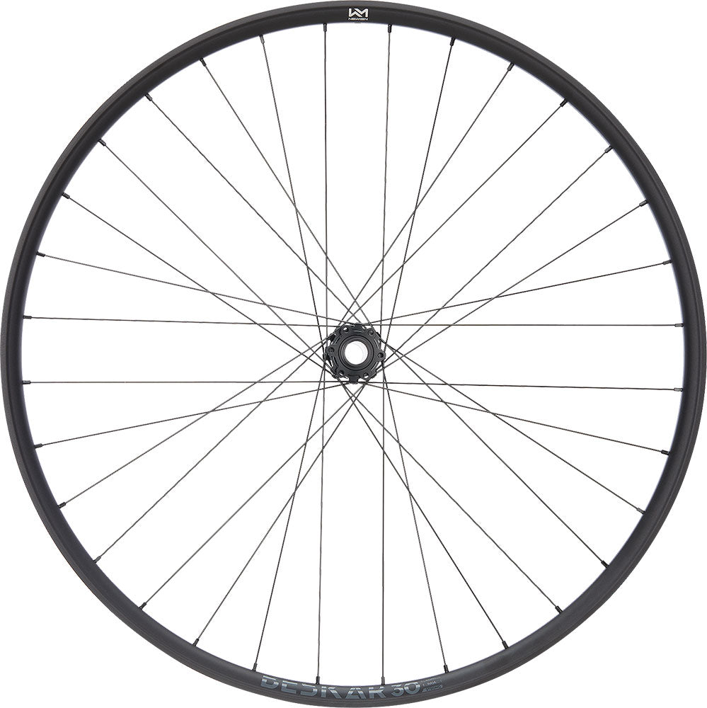 Newmen Beskar 30 Strong 29 6-Loch 15 20x110 Fade Vorderrad