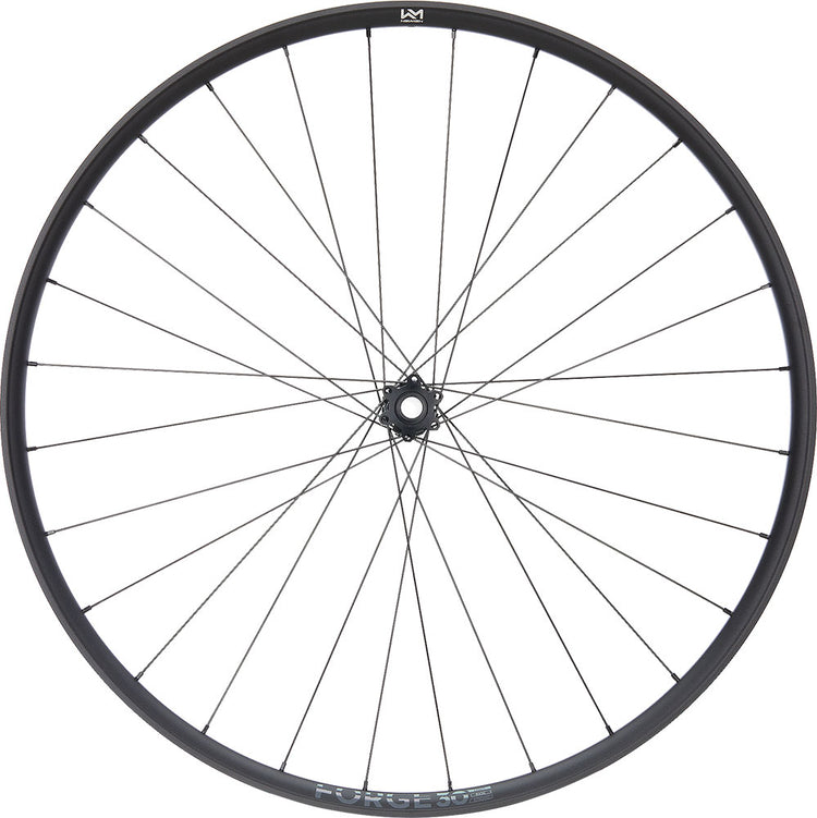 Newmen Forge 30 Base Trail 29 6-Loch 15x110 Fade Vorderrad