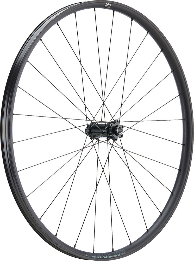 Newmen Forge 30 Light XC 29 6-Loch 15x110 Fade Vorderrad
