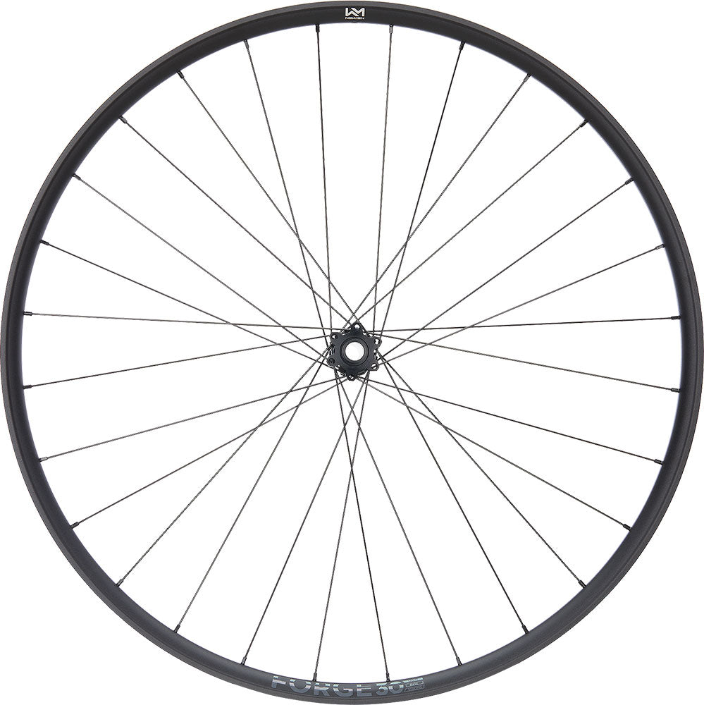 Newmen Forge 30 Light XC 29 6-Loch 15x110 Fade Vorderrad