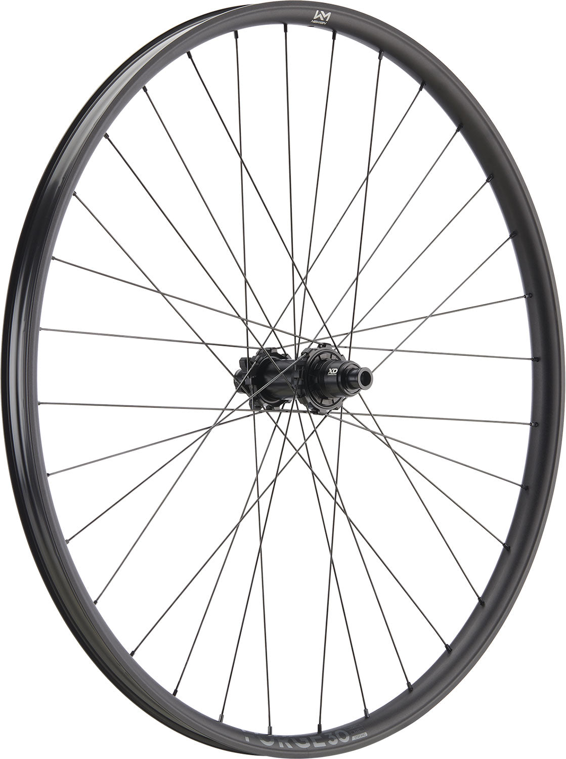 Newmen Forge 30 Strong Enduro 27,5 6-Loch 12x148 Fade Sram XD Hinterrad