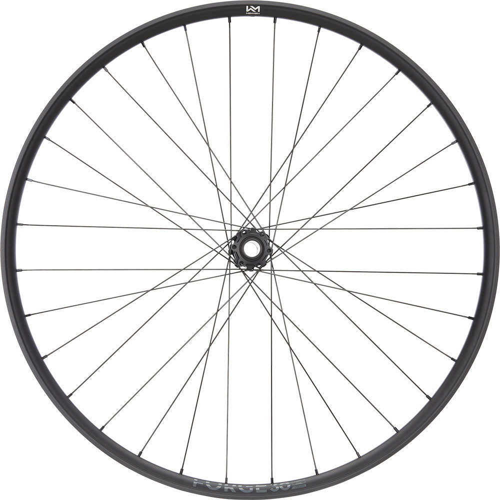 Newmen Forge 30 Strong Enduro 29 6-Loch 15 20x110 Fade Vorderrad
