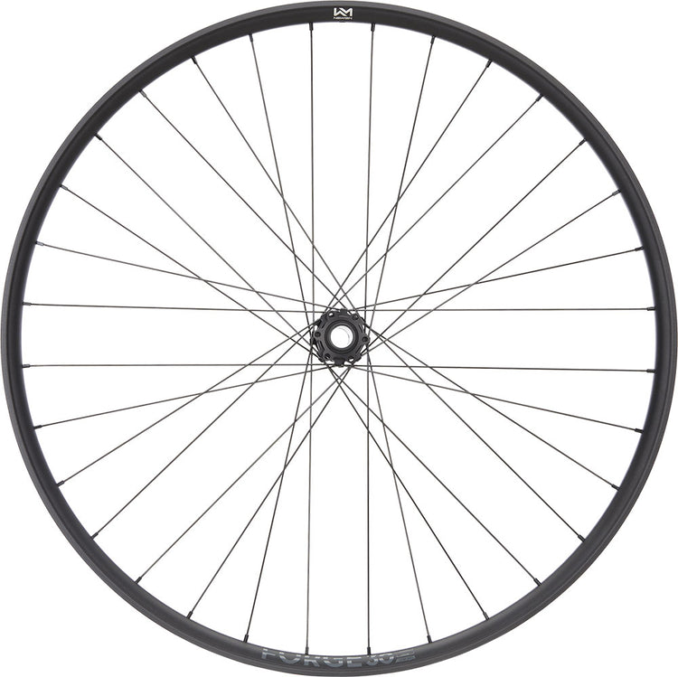 Newmen Forge 30 Strong Enduro 29 6-Loch 15 20x110 Fade Vorderrad