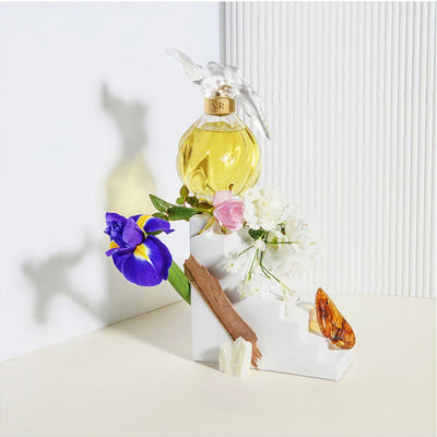 Nina Ricci Nina Ricci Eau de Toilette Spray L 'Air du Temps 100ml Damen