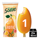 Ola solero exotische explosion (25x90 ml)
