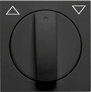 Peha Badora mattschwarze Abdeckplatte + Drehschalterknopf – 4603780